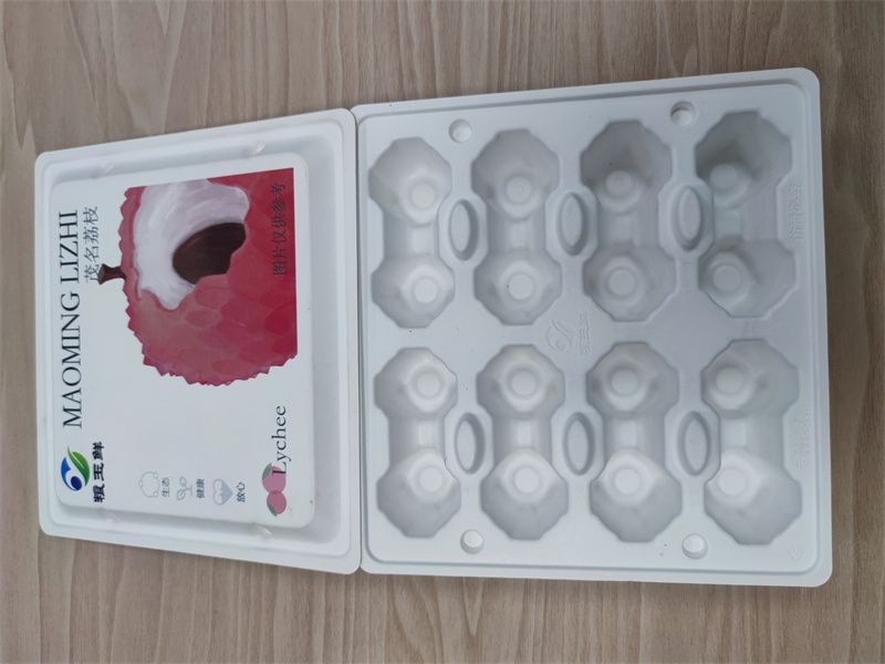 广州纸托2
